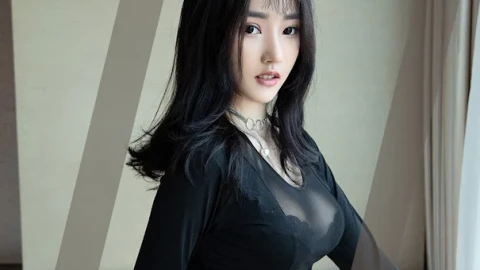 全网片花高清播放